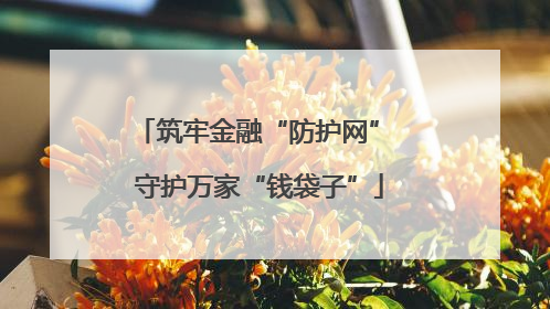 筑牢金融“防护网” 守护万家“钱袋子”