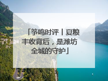筝鸣时评丨夏粮丰收背后，是潍坊全城的守护