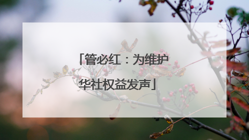 管必红：为维护华社权益发声
