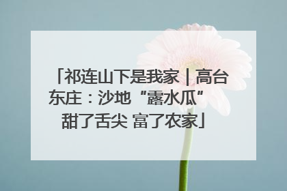 祁连山下是我家｜高台东庄：沙地“露水瓜” 甜了舌尖 富了农家