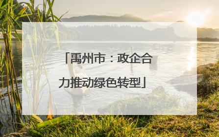 禹州市：政企合力推动绿色转型