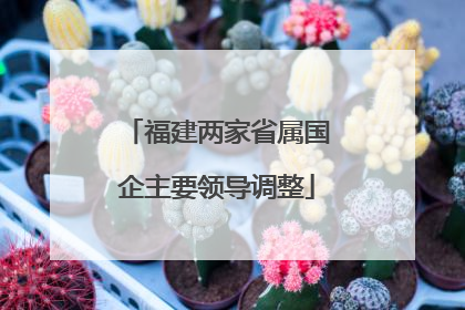 福建两家省属国企主要领导调整