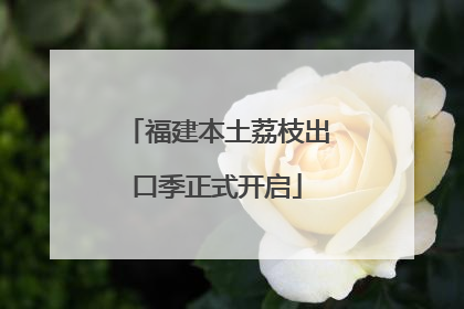 福建本土荔枝出口季正式开启