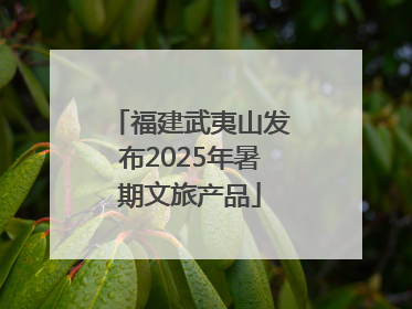 福建武夷山发布2025年暑期文旅产品
