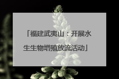 福建武夷山：开展水生生物增殖放流活动