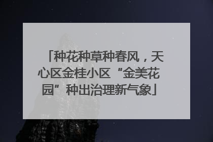 种花种草种春风，天心区金桂小区“金美花园”种出治理新气象