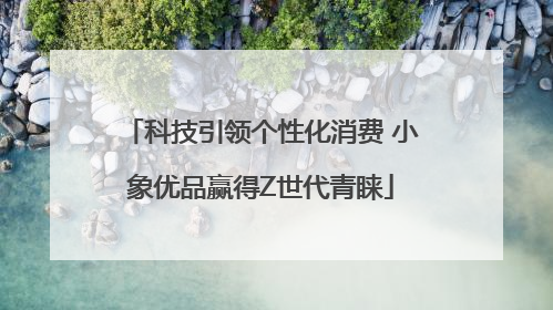 科技引领个性化消费 小象优品赢得Z世代青睐