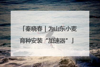 秦晓春｜为山东小麦育种安装“加速器”