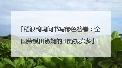 稻浪鸭鸣间书写绿色答卷：全国劳模田淑娴的田野振兴梦