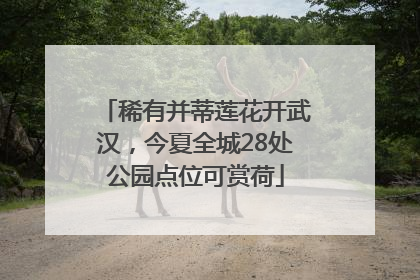 稀有并蒂莲花开武汉，今夏全城28处公园点位可赏荷