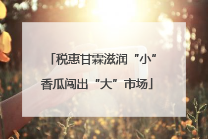 税惠甘霖滋润“小”香瓜闯出“大”市场