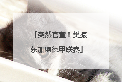 突然官宣！樊振东加盟德甲联赛