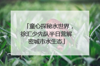 童心探秘水世界，徐汇少先队半日营解密城市水生态