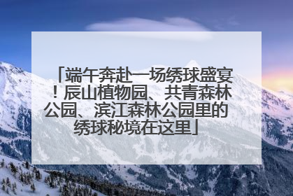 端午奔赴一场绣球盛宴！辰山植物园、共青森林公园、滨江森林公园里的绣球秘境在这里
