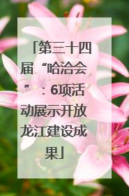 第三十四届“哈洽会”：6项活动展示开放龙江建设成果