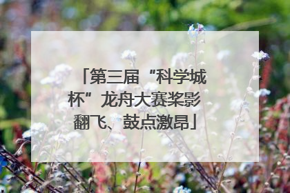 第三届“科学城杯”龙舟大赛桨影翻飞、鼓点激昂