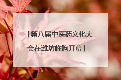 第八届中医药文化大会在潍坊临朐开幕
