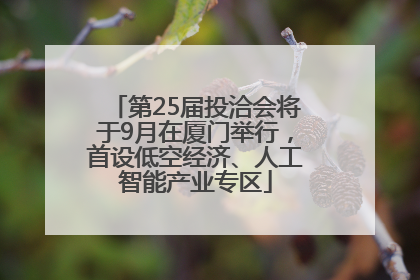 第25届投洽会将于9月在厦门举行，首设低空经济、人工智能产业专区