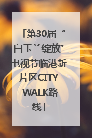 第30届“白玉兰绽放”电视节临港新片区CITY WALK路线