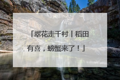翠花走千村丨稻田有喜，螃蟹来了！