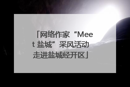 网络作家“Meet 盐城”采风活动走进盐城经开区