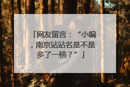 网友留言：“小编，南京站站名是不是多了一横？”