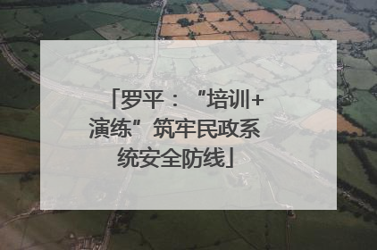 罗平：“培训+演练”筑牢民政系统安全防线