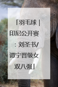 羽毛球｜印尼公开赛：刘圣书/谭宁晋级女双八强