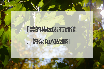 美的集团发布储能、热泵和AI战略