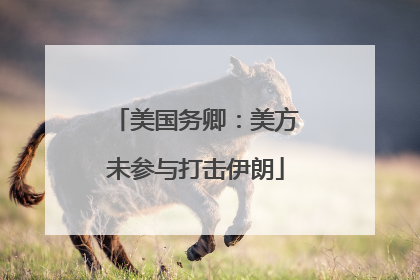 美国务卿：美方未参与打击伊朗