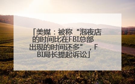 美媒：被称“泡夜店的时间比在FBI总部出现的时间还多”，FBI局长提起诉讼
