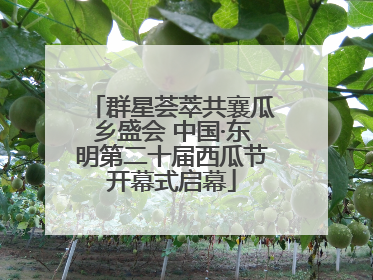 群星荟萃共襄瓜乡盛会 中国·东明第二十届西瓜节开幕式启幕
