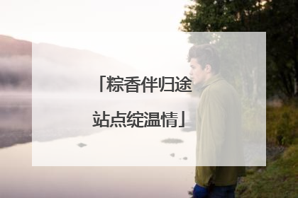 粽香伴归途 站点绽温情