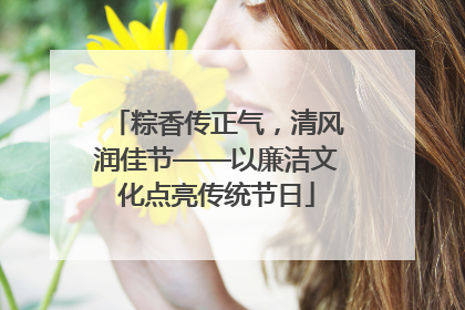 粽香传正气，清风润佳节——以廉洁文化点亮传统节日