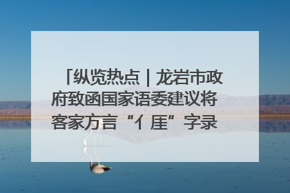 纵览热点|龙岩市政府致函国家语委建议将客家方言“亻厓”字录入《新华字典》引发热议,当地回应