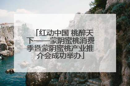 红动中国 桃醉天下——蒙阴蜜桃消费季暨蒙阴蜜桃产业推介会成功举办