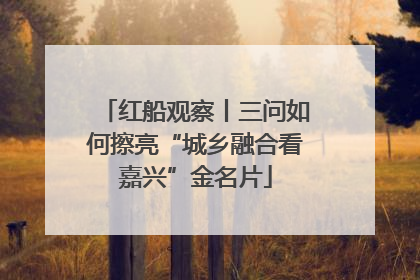 红船观察丨三问如何擦亮“城乡融合看嘉兴”金名片