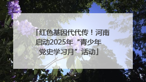红色基因代代传！河南启动2025年“青少年党史学习月”活动