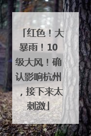 红色！大暴雨！10级大风！确认影响杭州，接下来太刺激