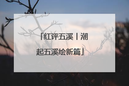 红评五溪丨潮起五溪绘新篇