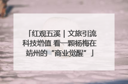 红观五溪｜文旅引流 科技增值 看一颗杨梅在靖州的“商业觉醒”