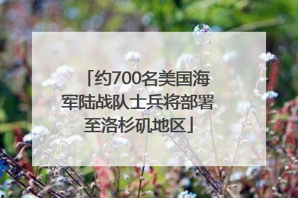 约700名美国海军陆战队士兵将部署至洛杉矶地区
