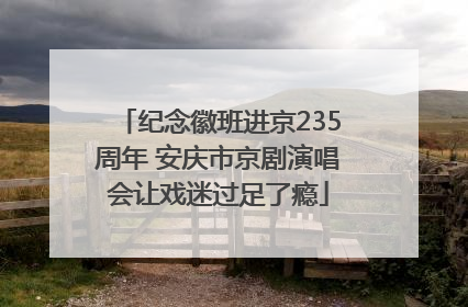 纪念徽班进京235周年 安庆市京剧演唱会让戏迷过足了瘾