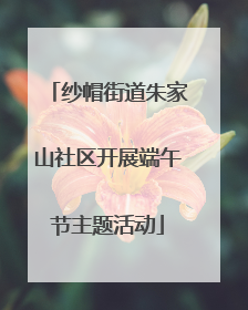 纱帽街道朱家山社区开展端午节主题活动