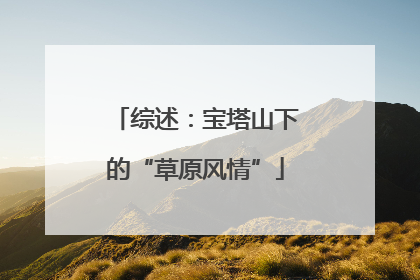 综述：宝塔山下的“草原风情”