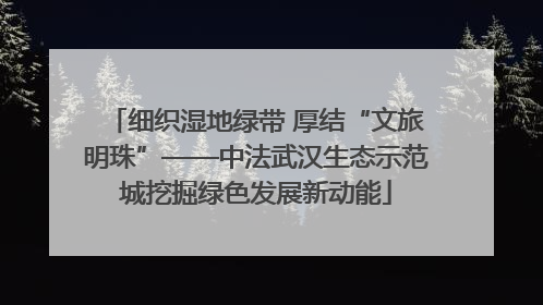 细织湿地绿带 厚结“文旅明珠”——中法武汉生态示范城挖掘绿色发展新动能