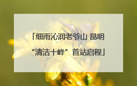 细雨沁润老爷山 昆明“清洁十峰”首站启程