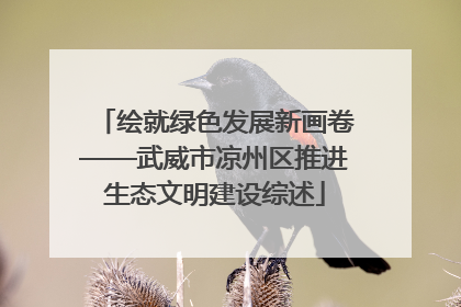 绘就绿色发展新画卷——武威市凉州区推进生态文明建设综述