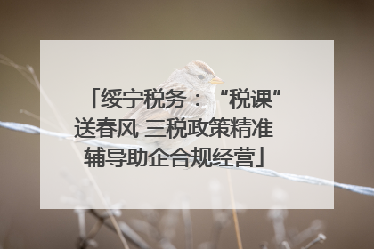 绥宁税务：“税课”送春风 三税政策精准辅导助企合规经营