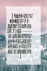 缅怀铁军峥嵘岁月·凝聚党建奋进力量——走进新四军砂村抗战史迹展示馆开展主题教育